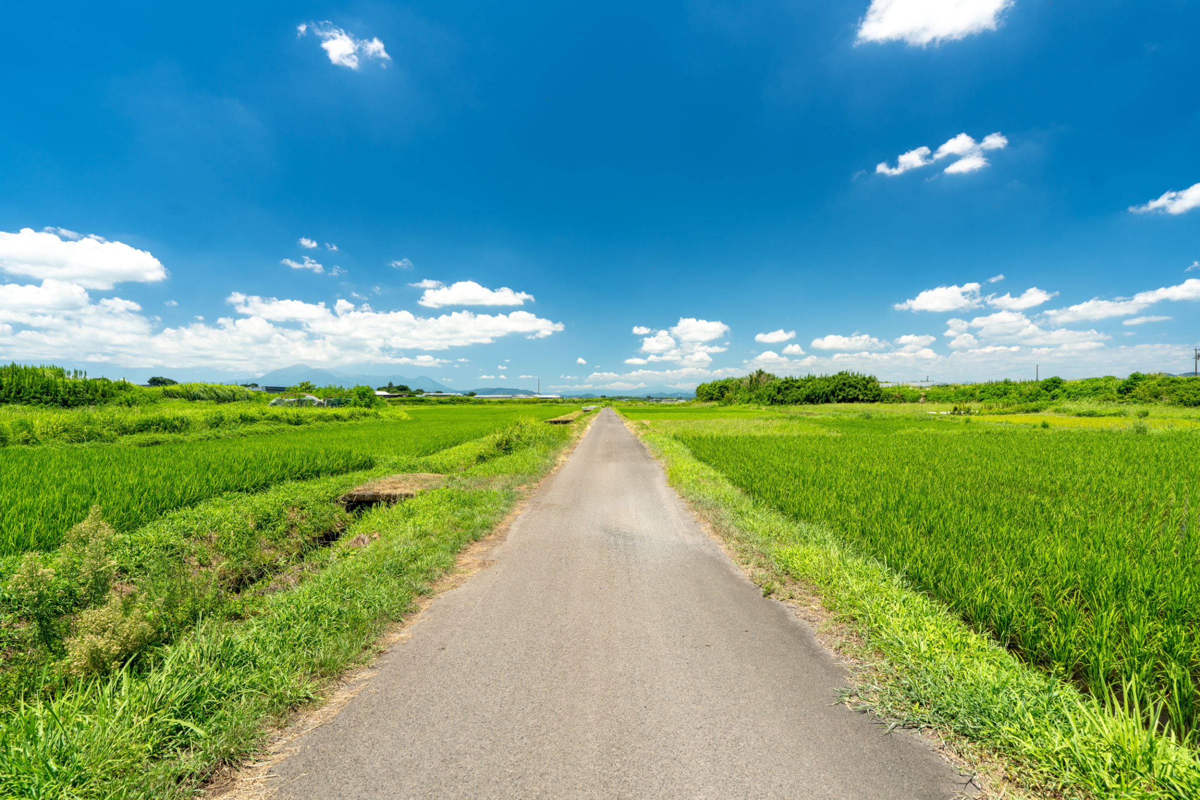 田園風景